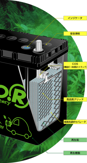 ECOR-1